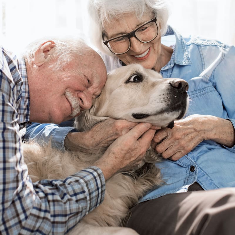 Ruckersville Animal Hospital in Ruckersville