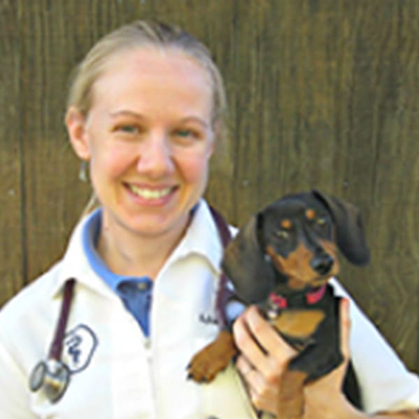 Dr. Ashley Bruce, Ruckersville Veterinarian